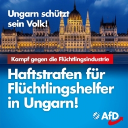 AfD 2.jpg