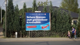 AfD 1.jpg
