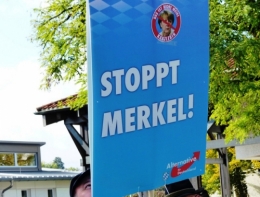 AfD 1.jpg