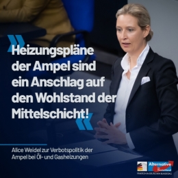 AfD 1.jpg