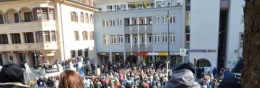 FPÖ 1.jpg