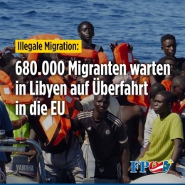 FPÖ 1.jpg