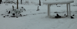 DSC_0014.jpg