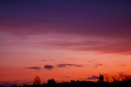 DSC_0020.jpg