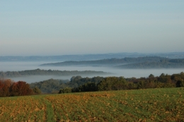 Brume du matin.jpg