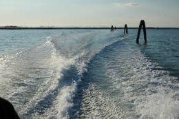 DSC_0037.jpeg