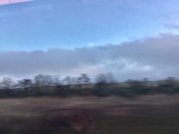 IMG_1585.jpeg
