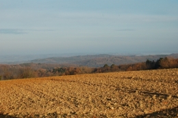 DSC_0012.jpg