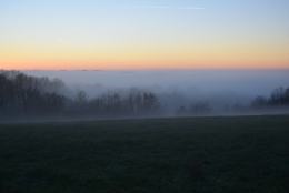 DSC_0065.jpeg