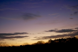 DSC_0026.jpg