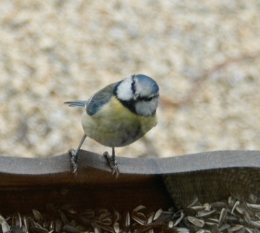 DSC_0069_2.jpeg