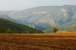 DSC_0032.JPG.jpg
