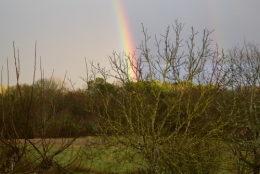 DSC_0001.jpg