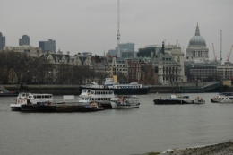 DSC_0118.jpeg