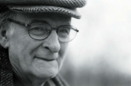 andrea zanzotto,idiome