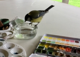 IMG_1368.jpeg
