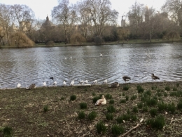 IMG_2076.jpeg