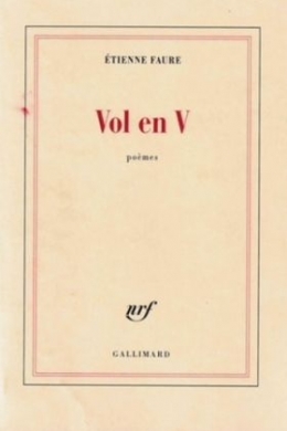etienne-faure-vol-en-v-1655441228.jpg