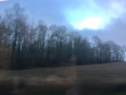 IMG_1589.jpeg
