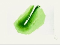 andré du bouchet,vert,orion