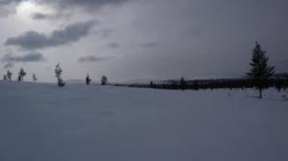 claude dourguin,laponia,grand nord,neige,pins
