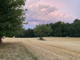 IMG_5999.jpeg