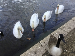 IMG_2038 2.jpeg