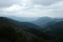 DSC_0006.jpg