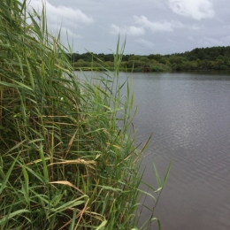 IMG_1631.jpeg
