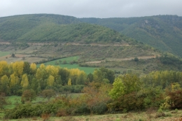 DSC_0019.jpg