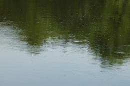 DSC_0004.jpg