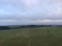 IMG_1586.jpeg