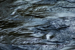 mouvements de l'eau.jpg