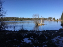 IMG_1758.jpeg