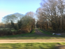 IMG_1727.jpeg