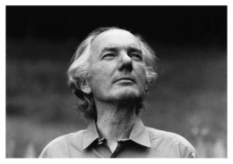 Thomas Bernhard, Je te salue Virgile, octobre, décombres, lamentations, rien, mère