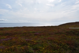 La mer et ses bords, photos Chantal Tanet