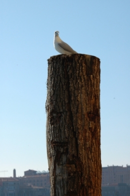 DSC_0112.jpeg