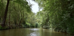 sur l'eau.jpg