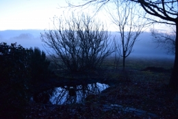 DSC_0038.JPG