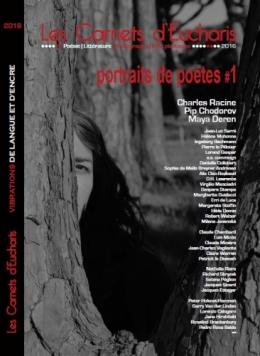 Jean Daive, Paul Celan, les jours et les nuits
