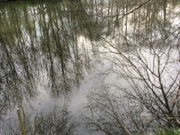 IMG_0345.jpeg
