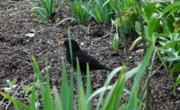 DSC_0130.JPG