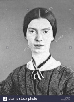 emily dickinson,le vent se mit à bercer l'herbe,pierre layris