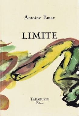 limite-d-antoine-emaz.jpg