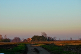 DSC_0057.jpg