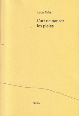 lucie taïeb, l'art de panser les plaies