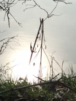 IMG_0110.jpeg