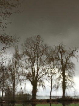 IMG_1029.jpeg