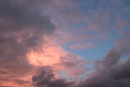 DSC_0003.jpg